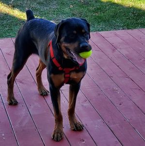 Meet your Posher, Brianae